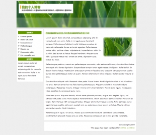 简单绿色清新个人博客网站模板电脑图片