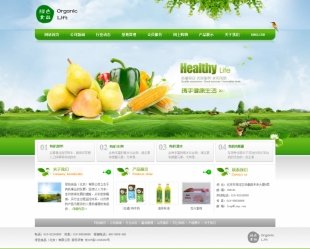 绿色食品类网站建设网站响应式网站电脑图片