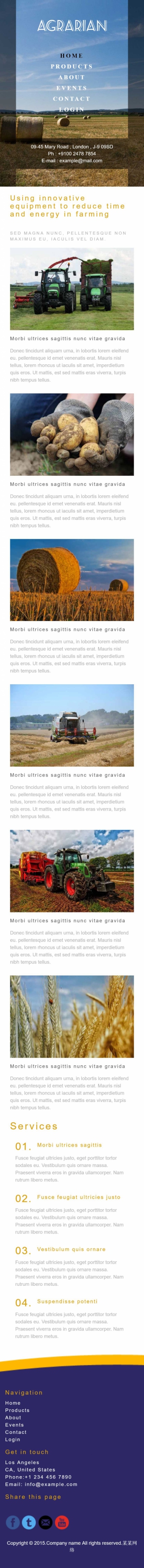 有机农产品类英文模板网站制作手机图片