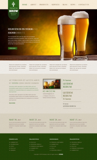 啤酒官网类英文模板网站制作电脑图片