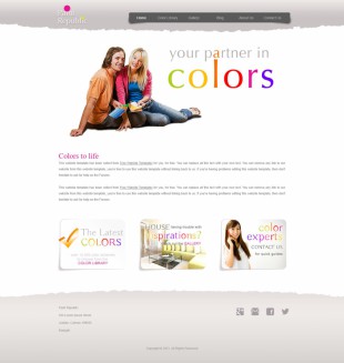 白色大气的色彩管理CSS模板网站制作电脑图片