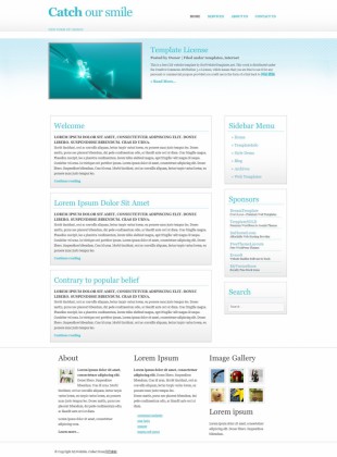 白色清晰斜纹英文CSS模板网站制作电脑图片