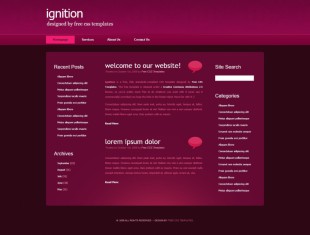 粉色网站首页英文版网站模板制作电脑图片