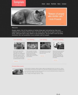 猫咪宠物类英文网站模板制作电脑图片
