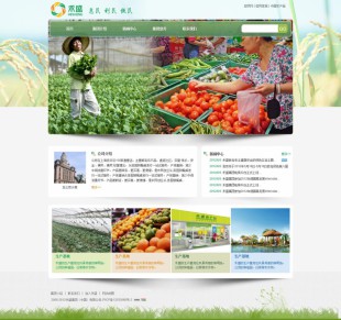 农鲜食品直营店类网站模板建设电脑图片