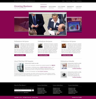 Growing Business英文网站模板电脑图片