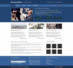 BusinessBlue英文网站模板电脑图片
