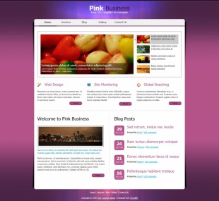 Pink Business Theme英文网站模板电脑图片
