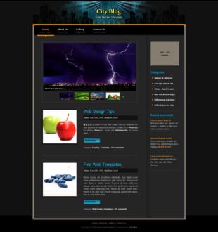 City Blog Theme英文网站模板电脑图片