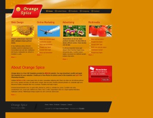 Orange Spices英文网站模板电脑图片
