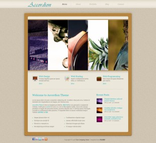 Accordion Theme Homepage英文网站模板电脑图片