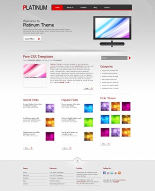 Platinum Theme英文网站模板电脑图片