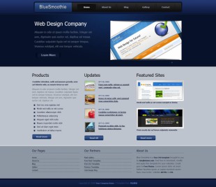 Blue Smoothie Theme英文网站模板电脑图片