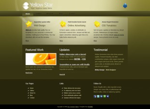 Yellow Star英文网站模板电脑图片