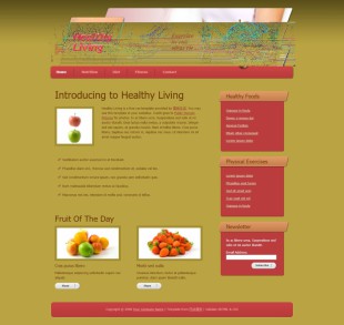 Healthy Living英文网站模板电脑图片