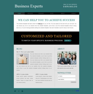 Business Experts Website Template英文网站模板电脑图片