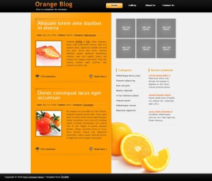 Orange Blog Theme英文模板网站电脑图片