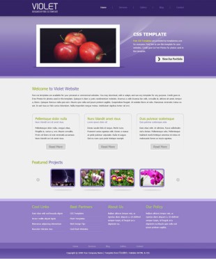 Violet Templates英文模板网站电脑图片