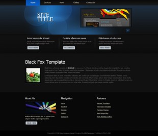 Black Fox英文模板网站电脑图片