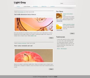 Light Gray - Latest News英文模板网站电脑图片