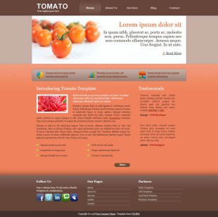 Tomatos英文模板网站电脑图片