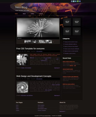 Neo Blog Theme Template英文模板网站电脑图片