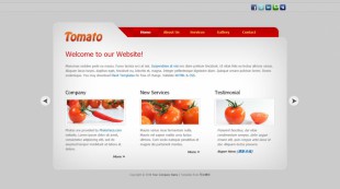 Tomato HTML CSS Template英文模板网站电脑图片