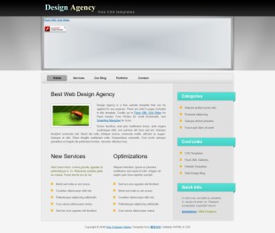 Web Design Agencys英文模板网站电脑图片
