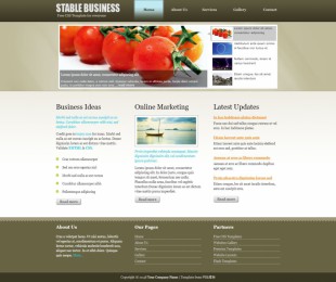 Stable Business英文模板网站电脑图片