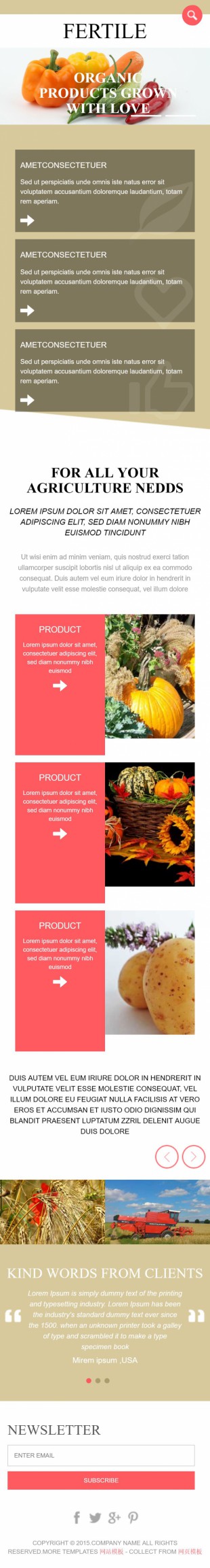 橙色大气漂亮的果农蔬菜基地公司英文网站建设模板手机图片