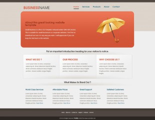 橙色大图公司商业官网html5英文网站建设模板电脑图片