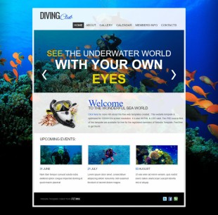 大气漂亮蓝色海洋动物乐园英文企业网站模板制作电脑图片
