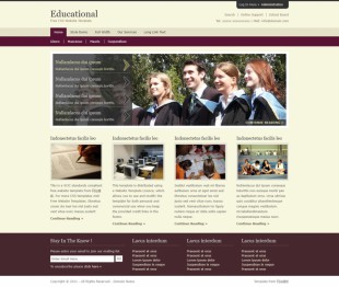 淡雅棕色的教育门户英文网站模板制作电脑图片