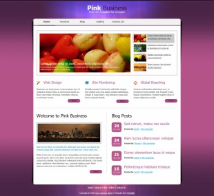 粉红色简洁的商业英文网站模板制作电脑图片