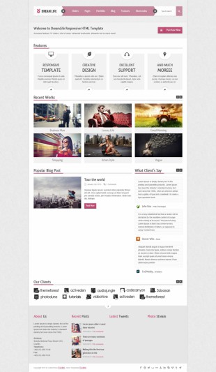 粉色大图幻灯背景精美商业企业英文网站制作模板电脑图片