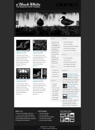 干净整洁黑白风格英文网站制作模板电脑图片