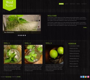 黑色木纹背景绿色植物英文模板网站制作电脑图片