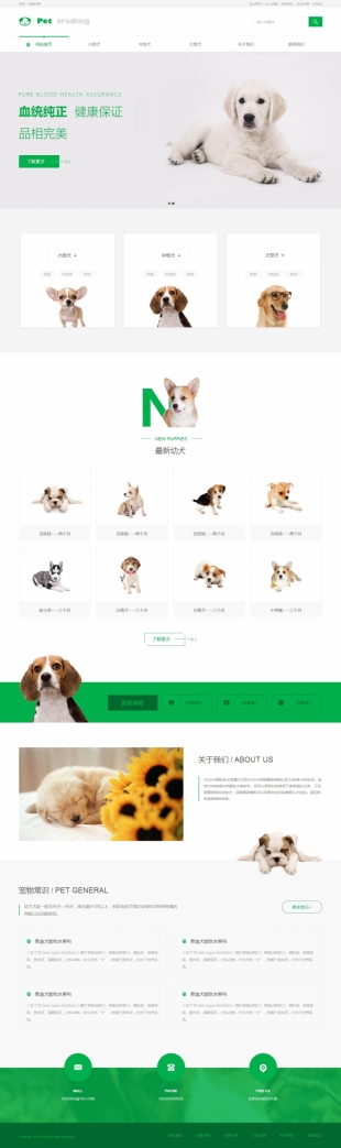 宠物犬类网站模板电脑图片