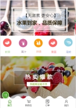 进口水果食蔬肉网站建设模板手机图片