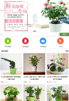 观赏植物鲜花类网站建设模板手机图片